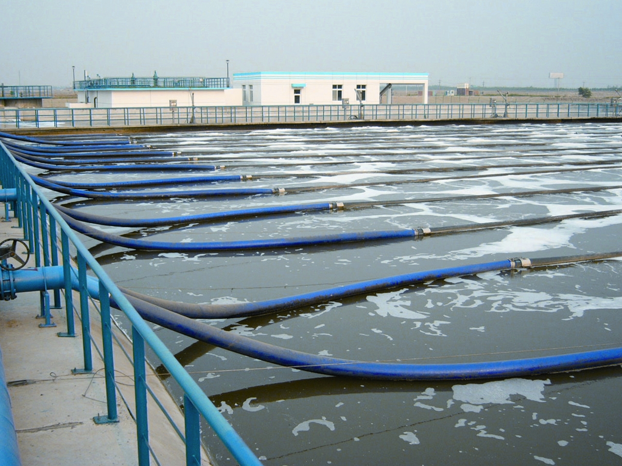 伟德体育 - 综合体育赛事平台|奥体中心相助同伴